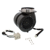 Zephyr - CBI-290C