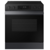 Samsung - NSE6DG8100MT